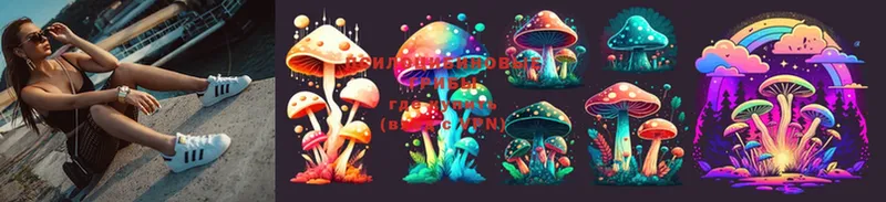 Псилоцибиновые грибы Psilocybe  даркнет сайт  Балахна 